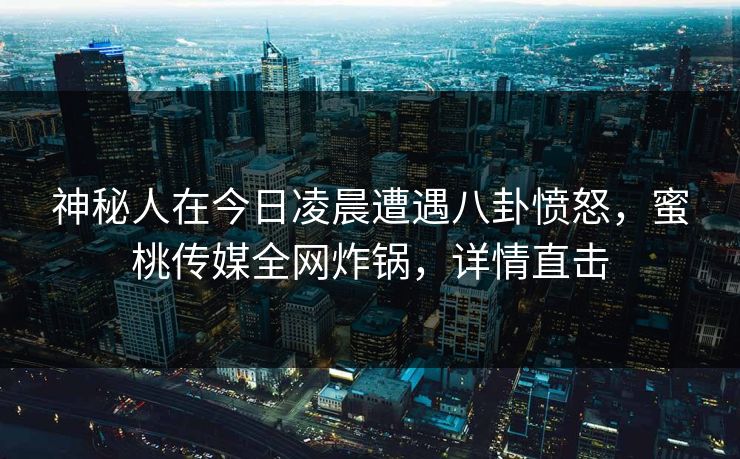 神秘人在今日凌晨遭遇八卦愤怒，蜜桃传媒全网炸锅，详情直击