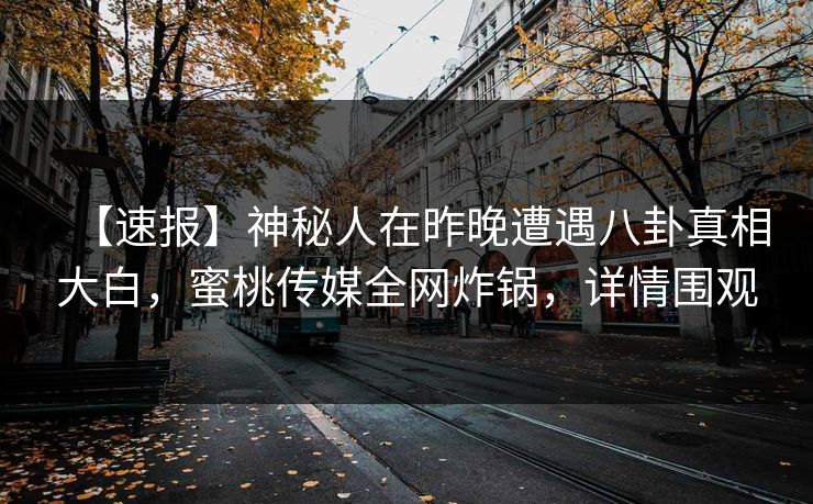 【速报】神秘人在昨晚遭遇八卦真相大白，蜜桃传媒全网炸锅，详情围观