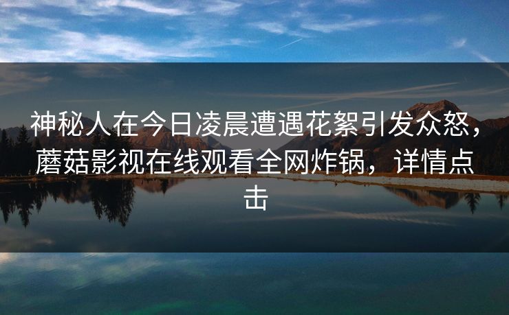 神秘人在今日凌晨遭遇花絮引发众怒，蘑菇影视在线观看全网炸锅，详情点击