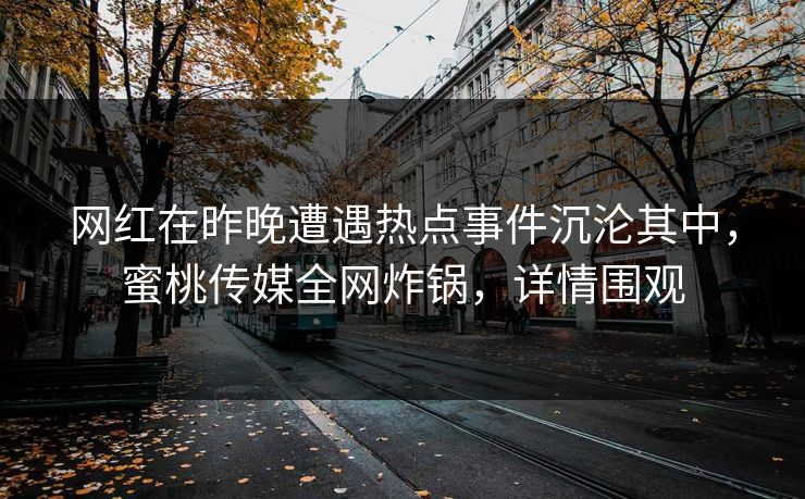 网红在昨晚遭遇热点事件沉沦其中，蜜桃传媒全网炸锅，详情围观
